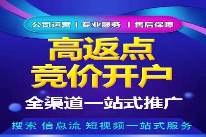 信息流广告投放公司案例对比分析